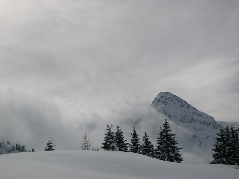 Passo Rolle-  Trentino